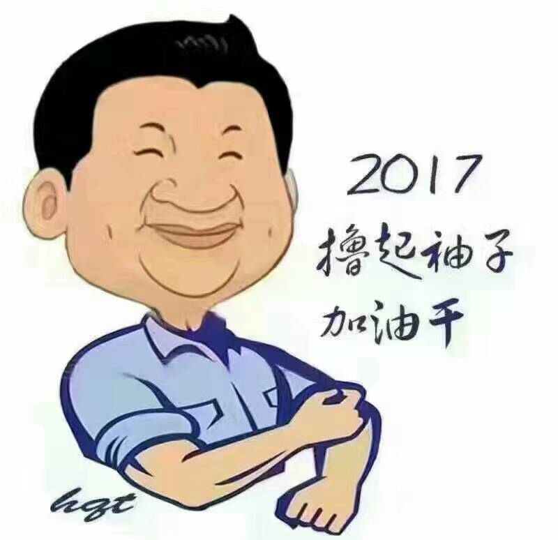 2017年，“大家擼起袖子加油干”！